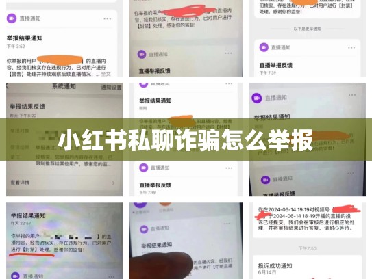 小红书私聊诈骗怎么举报