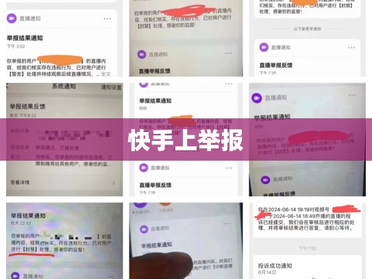 快手上举报
