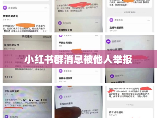 小红书群消息被他人举报