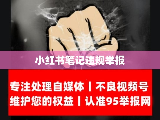 小红书笔记违规举报