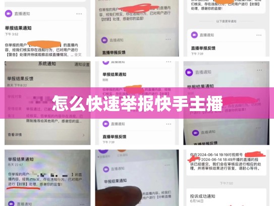 怎么快速举报快手主播