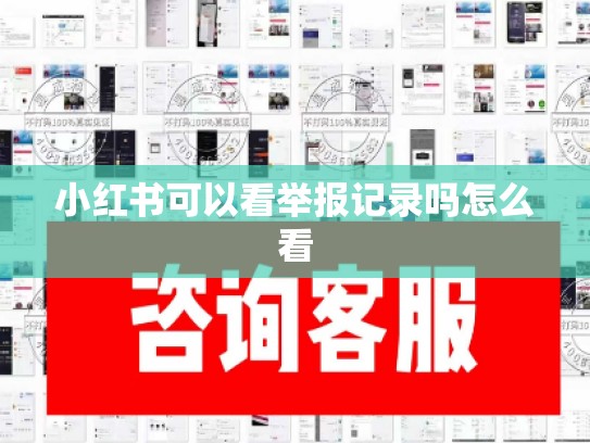 小红书可以看举报记录吗怎么看