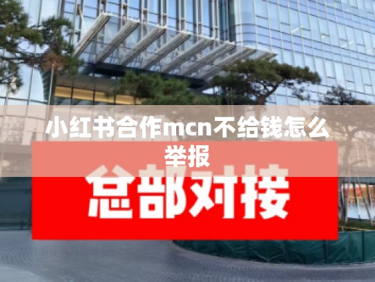 小红书合作mcn不给钱怎么举报