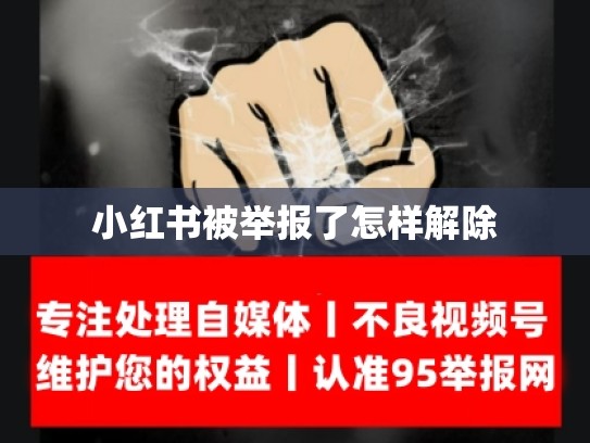 小红书被举报了怎样解除