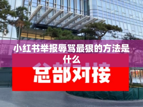 小红书举报辱骂最狠的方法是什么