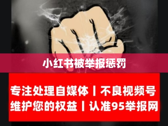 小红书被举报惩罚