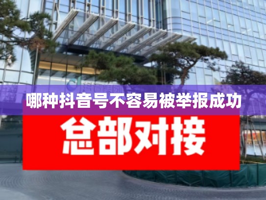 哪种抖音号不容易被举报成功