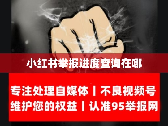 小红书举报进度查询在哪