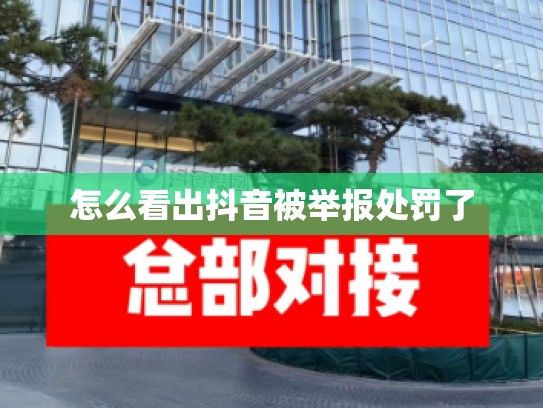 怎么看出抖音被举报处罚了