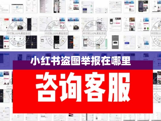 小红书盗图举报在哪里