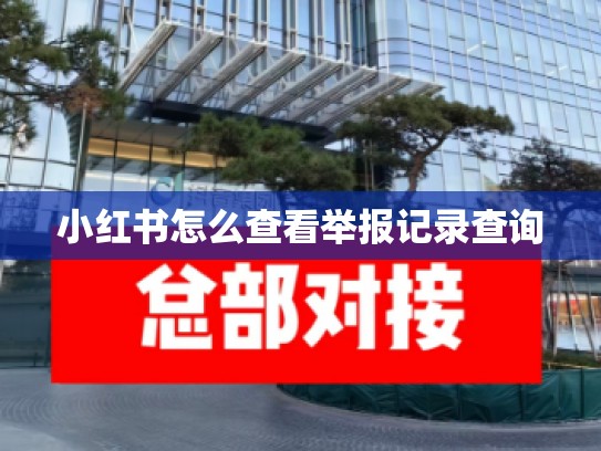 小红书怎么查看举报记录查询