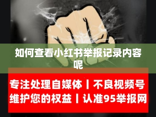 如何查看小红书举报记录内容呢