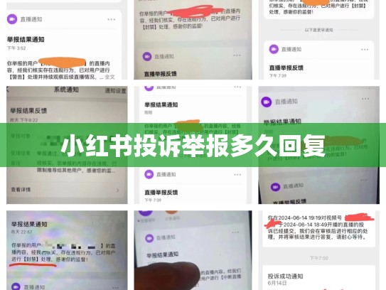 小红书投诉举报多久回复