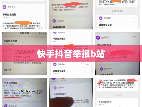 快手抖音举报b站