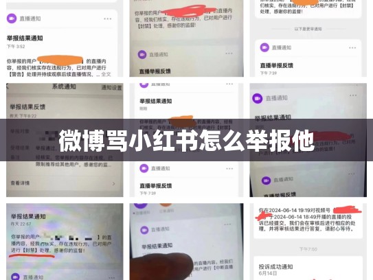 微博骂小红书怎么举报他