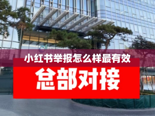 小红书举报怎么样最有效