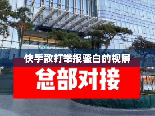 快手散打举报骚白的视屏