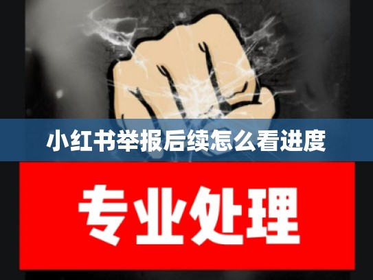 小红书举报后续怎么看进度