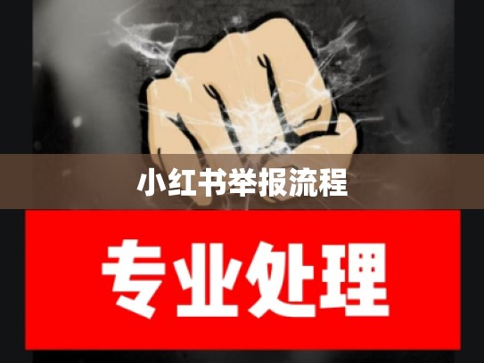 小红书举报流程