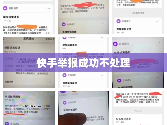 快手举报成功不处理