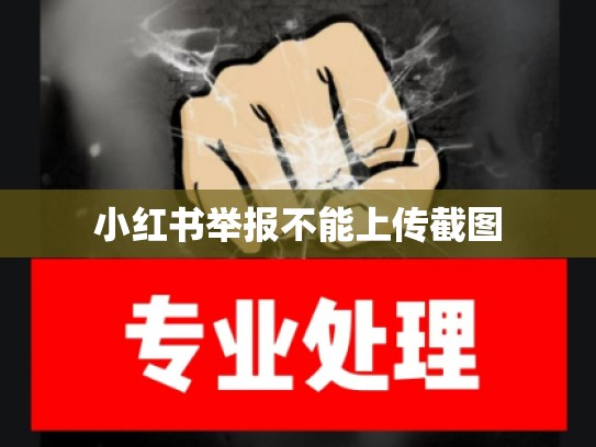 小红书举报不能上传截图