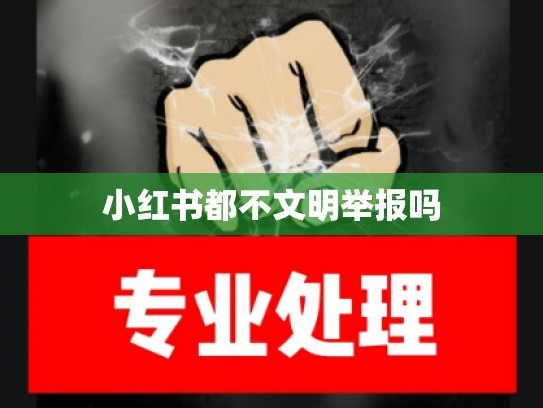 小红书都不文明举报吗