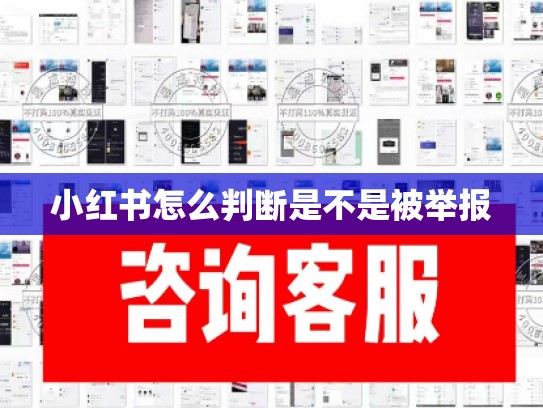 小红书怎么判断是不是被举报