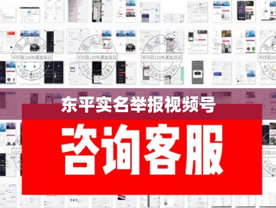 东平实名举报视频号