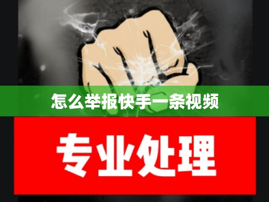 怎么举报快手一条视频