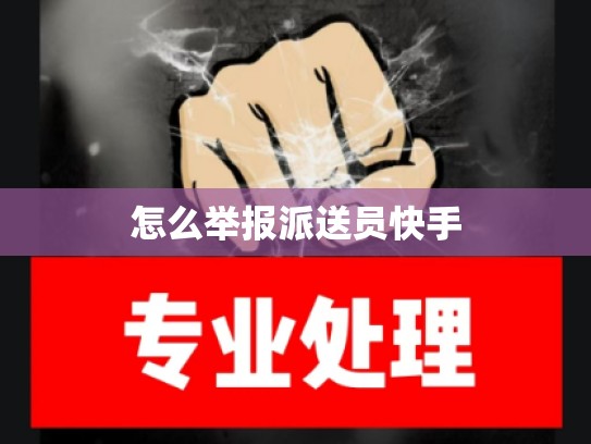 怎么举报派送员快手