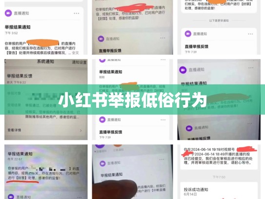 小红书举报低俗行为