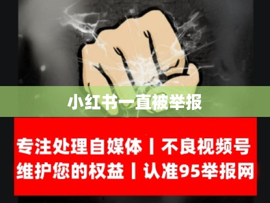 小红书一直被举报