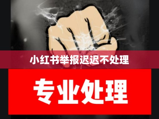 小红书举报迟迟不处理