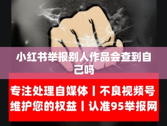 小红书举报别人作品会查到自己吗