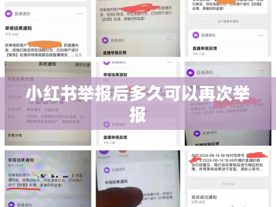 小红书举报后多久可以再次举报