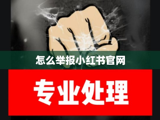 怎么举报小红书官网