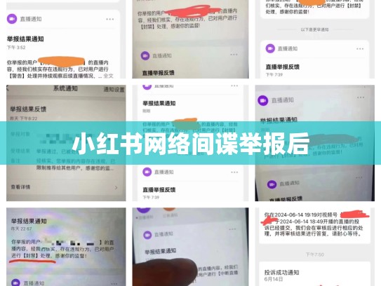 小红书网络间谍举报后