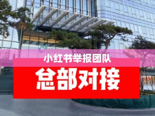 小红书举报团队