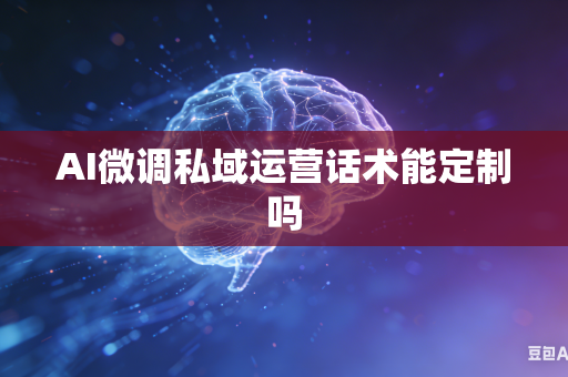 AI微调私域运营话术能定制吗
