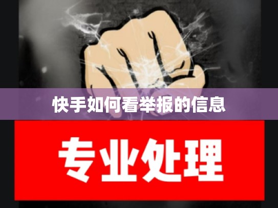 快手如何看举报的信息