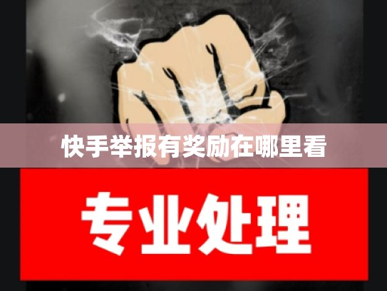 快手举报有奖励在哪里看