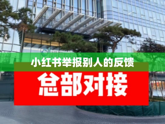 小红书举报别人的反馈