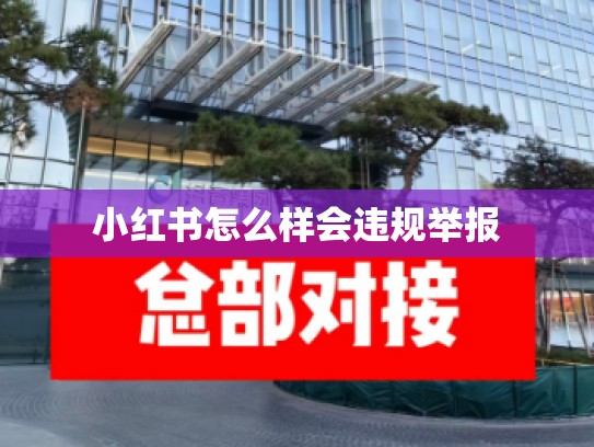 小红书怎么样会违规举报