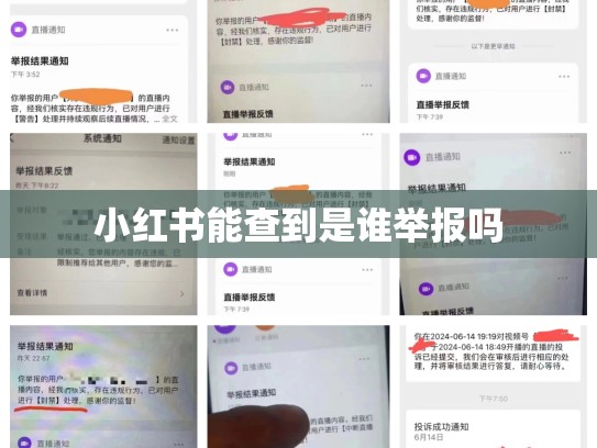 小红书能查到是谁举报吗