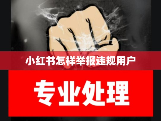 小红书怎样举报违规用户