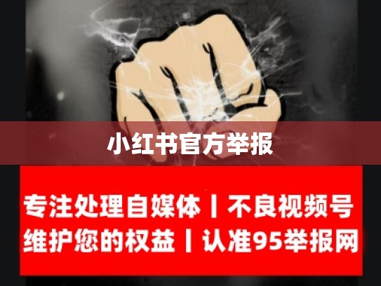 小红书官方举报