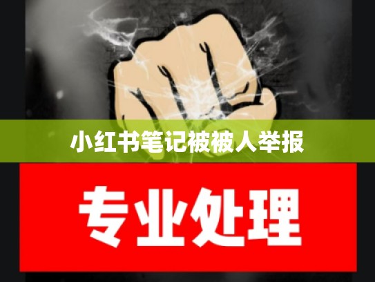 小红书笔记被被人举报