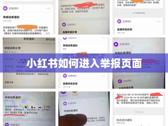 小红书如何进入举报页面