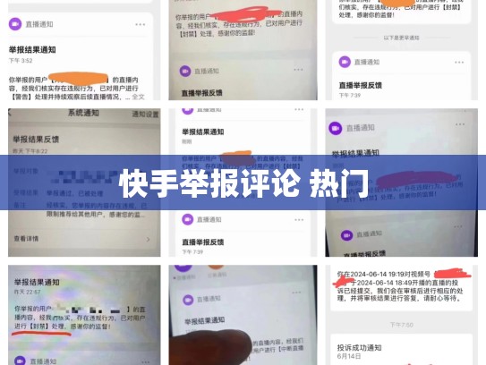 快手举报评论 热门