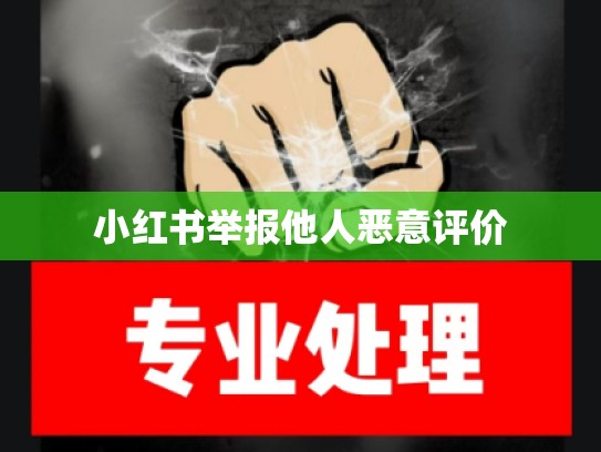 小红书举报他人恶意评价